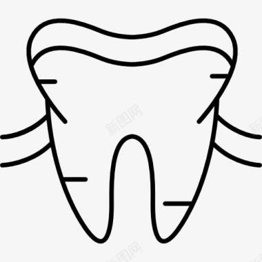 牙龈和牙齿牙齿和牙龈图标图标
