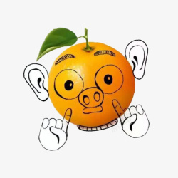 卡通创意手绘猪头橙子素材