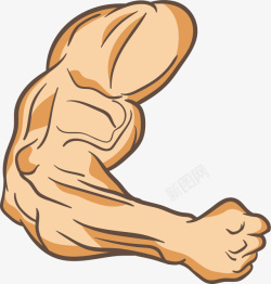 人体胳膊粗壮的肱二头肌胳膊高清图片