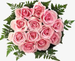 粉色玫瑰花绿叶花束素材