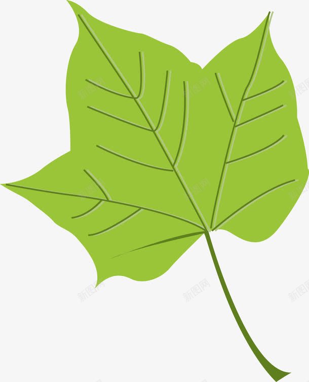 一片绿油油的叶子png免抠素材_88icon https://88icon.com 创意叶子 叶子 叶子手绘图 小叶子 手绘 手绘叶子 树叶 树叶图 矢量叶子 绿色叶子 绿色的