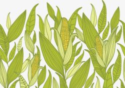 卡通手绘农作物玉米玉米杆素材