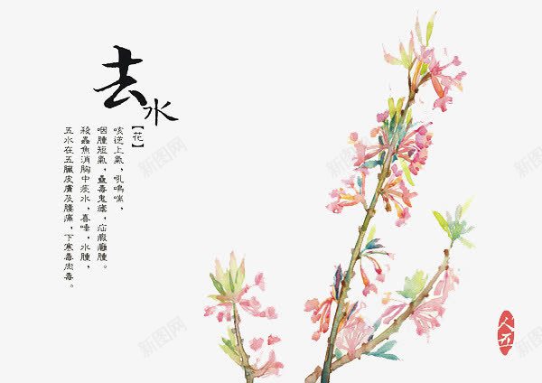 草本植物png免抠素材_88icon https://88icon.com 卡通 手绘 手绘插画 手绘素材 插画 植物 百草 神农 草本