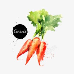 卡通水彩蔬菜红萝卜素材