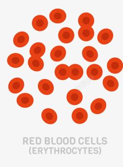 大批红细胞素材
