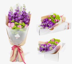 三束紫罗兰花素材
