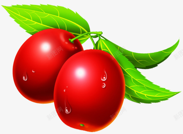 两颗红色果实png免抠素材_88icon https://88icon.com 卡通水果 果实 水果 红色