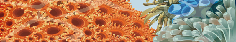 卡通海洋生物海马海报背景矢量图ai设计背景_88icon https://88icon.com 卡通 可爱 多彩生物 开心 微生物 海报 海洋 海草 海马 珊瑚 生物 矢量 素材 美丽 背景 矢量图