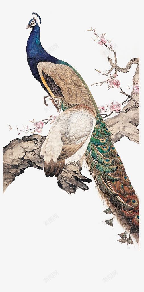 郭丙端书画| 紫藤孔雀图#国画#水墨画#inkpainting
