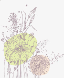 手绘植物线条花朵矢量图素材