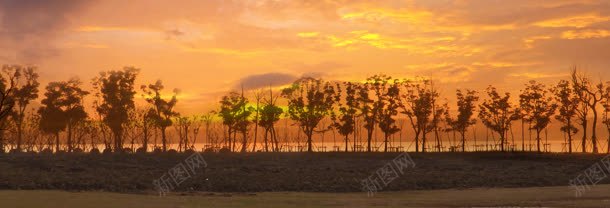 旅游夕阳下树林唯美背景bannerjpg设计背景_88icon https://88icon.com banner 唯美 夕阳下 旅游 树林 背景