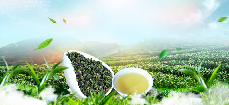 春茶节大气茶叶小清新渐变绿bannerpsd设计背景_88icon https://88icon.com 小清新 广告 文艺 新茶上市 早茶 春天 春茶 春茶上市 素材 绿叶 绿芽 背景 茶 茶叶 设计