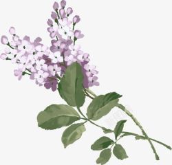 紫色水墨小花植物装饰素材