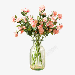 花朵花瓶花素材
