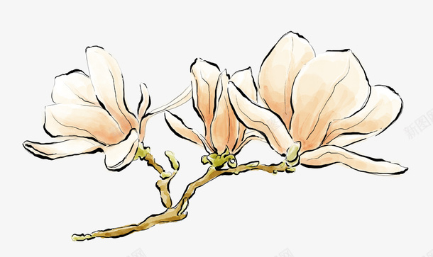 树枝上的花朵png免抠素材_88icon https://88icon.com png图形 手绘 植物 白色 花卉 花朵 装饰