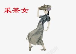 采茶女茶素材