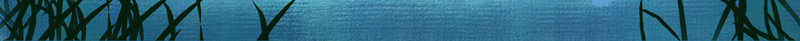 创意手绘海底世界鲸鱼海报背景psdpsd设计背景_88icon https://88icon.com psd 云朵 创意 手绘 手绘海底世界 海底世界 海报背景 珊瑚 童话 鲸鱼