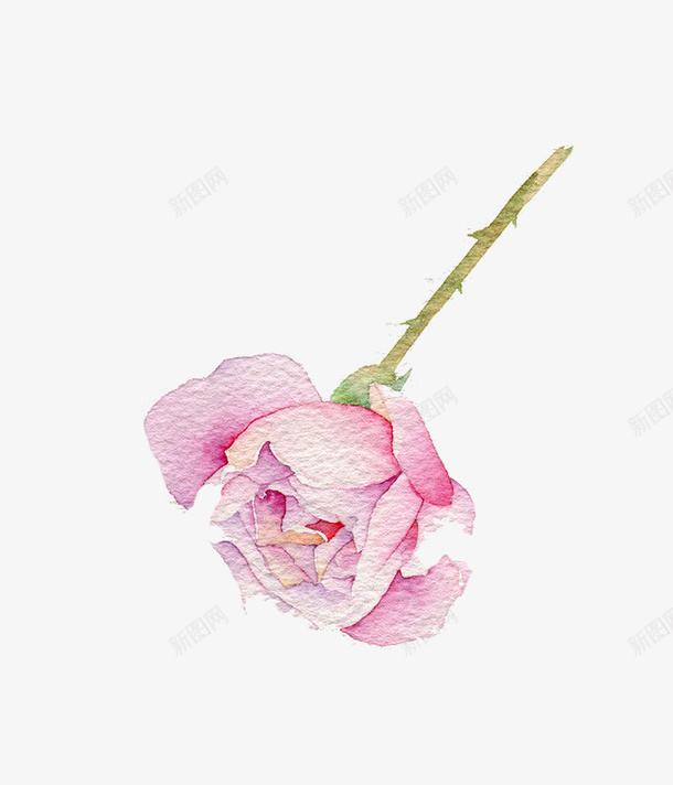 粉红色花卉psd免抠素材_88icon https://88icon.com 手绘 植物 粉色 花卉 装饰
