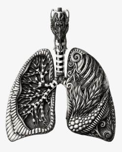 肺部器官插画创意素材