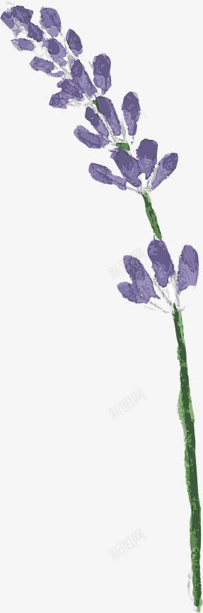 手绘水彩复古紫色花朵png免抠素材_88icon https://88icon.com 复古 水彩 紫色 花朵