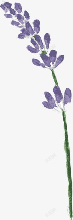 手绘水彩复古紫色花朵素材