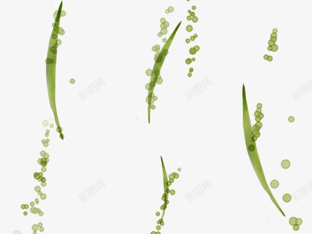 绿色水泡植物png免抠素材_88icon https://88icon.com 植物 水彩画 水泡 绿色 装饰边缘