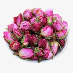 粉色法兰西玫瑰花苞素材