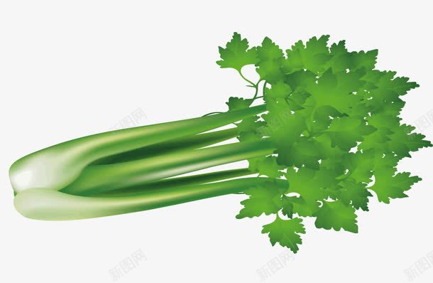 一把芹菜png免抠素材_88icon https://88icon.com 水果蔬菜 矢量蔬菜 绿色蔬菜 芹菜 蔬菜 青菜 食物