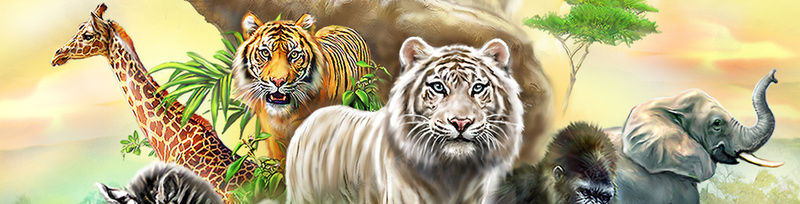 动物世界海报banner背景背景