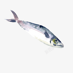 手绘的动物素材