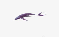 深海鱼类遨游鲸鱼素材