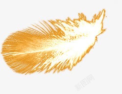 金色线条羽毛装饰素材