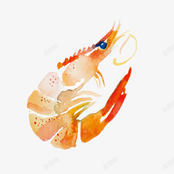 手绘美味食物生鲜海虾图矢量图eps免抠素材_88icon https://88icon.com 免抠图PNG 手绘 生鲜海虾 矢量手绘美味食物生鲜海虾免抠图PNG免费下载 美味 食物 矢量图