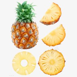 菠萝圈切成不同的菠萝高清图片