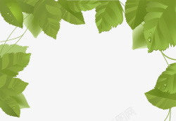 装饰绿色树叶卡片背景矢量图素材