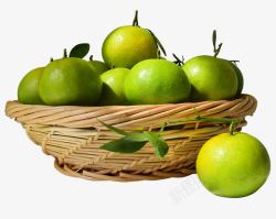 一大筐橘子素材