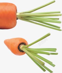 胡萝卜干净的鸡肝洗干净的绿根胡萝卜高清图片