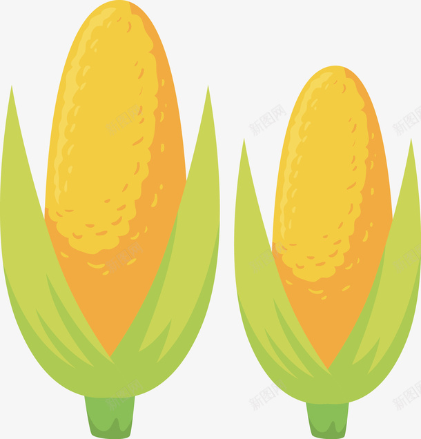 成熟的玉米矢量图ai免抠素材_88icon https://88icon.com 五谷 玉米 矢量玉米 食物 矢量图