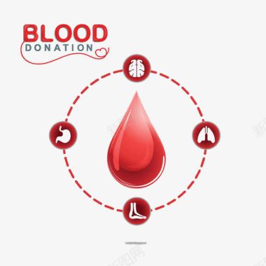 无偿献血人体器官图标与血滴图标