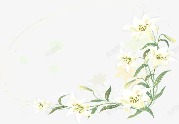 卡通手绘白色花朵边框png免抠素材_88icon https://88icon.com 植物边框 白色花朵 绿色植物 花朵边框