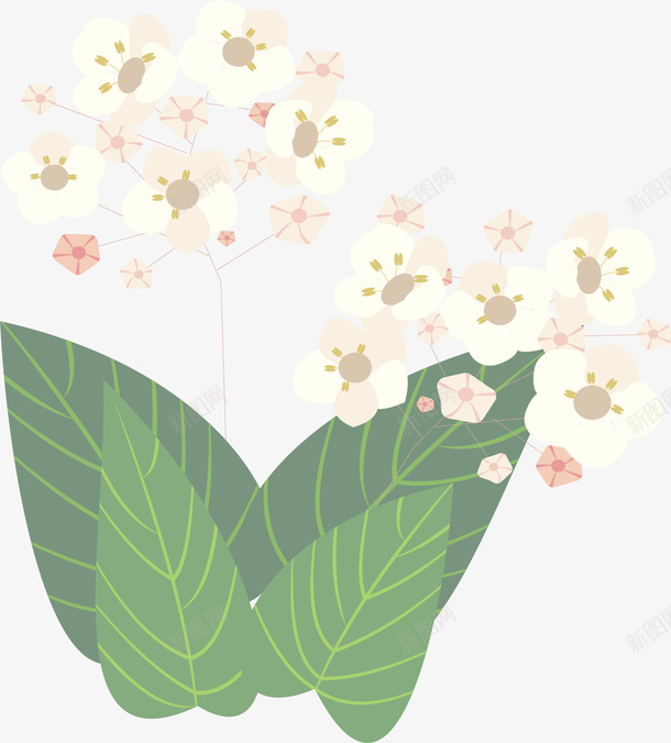 白色路边野花花丛矢量图ai免抠素材_88icon https://88icon.com 春花 白色花丛 矢量png 花丛 路边野花 野花 矢量图