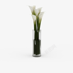 红边白色鲜花束白色透明花瓶鲜花束高清图片