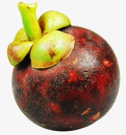 新鲜的山竹素材