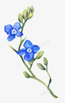 蓝色简约树枝花朵素材