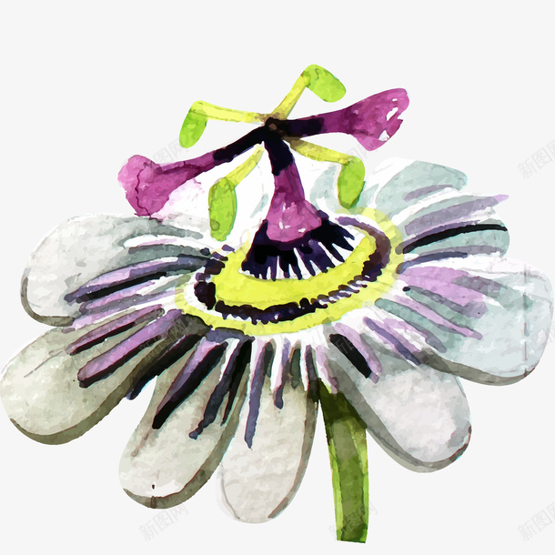 水彩绘花朵矢量图ai免抠素材_88icon https://88icon.com 卡通 彩绘 手绘 植物花卉 水彩 花朵 矢量图