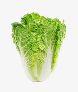 绿色食品背景一颗好吃的大白菜高清图片