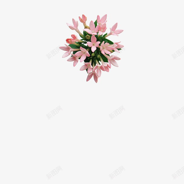 百花图png免抠素材_88icon https://88icon.com 粉色 花卉