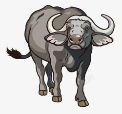 卡通野牛手绘猛牛动物高清图片