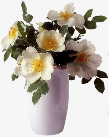 白色花朵花瓶装饰品png免抠素材_88icon https://88icon.com 白色 白色花朵 素材 花朵 花瓶 装饰品