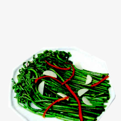 美味野生蕨菜素材